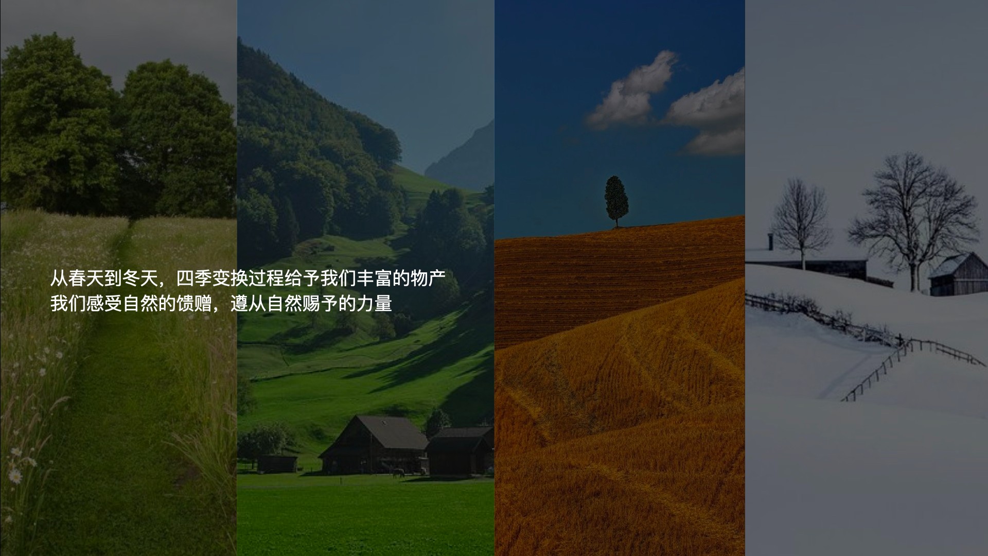 2雜糧項(xiàng)目_視覺(jué)概念_12:26.001.jpg