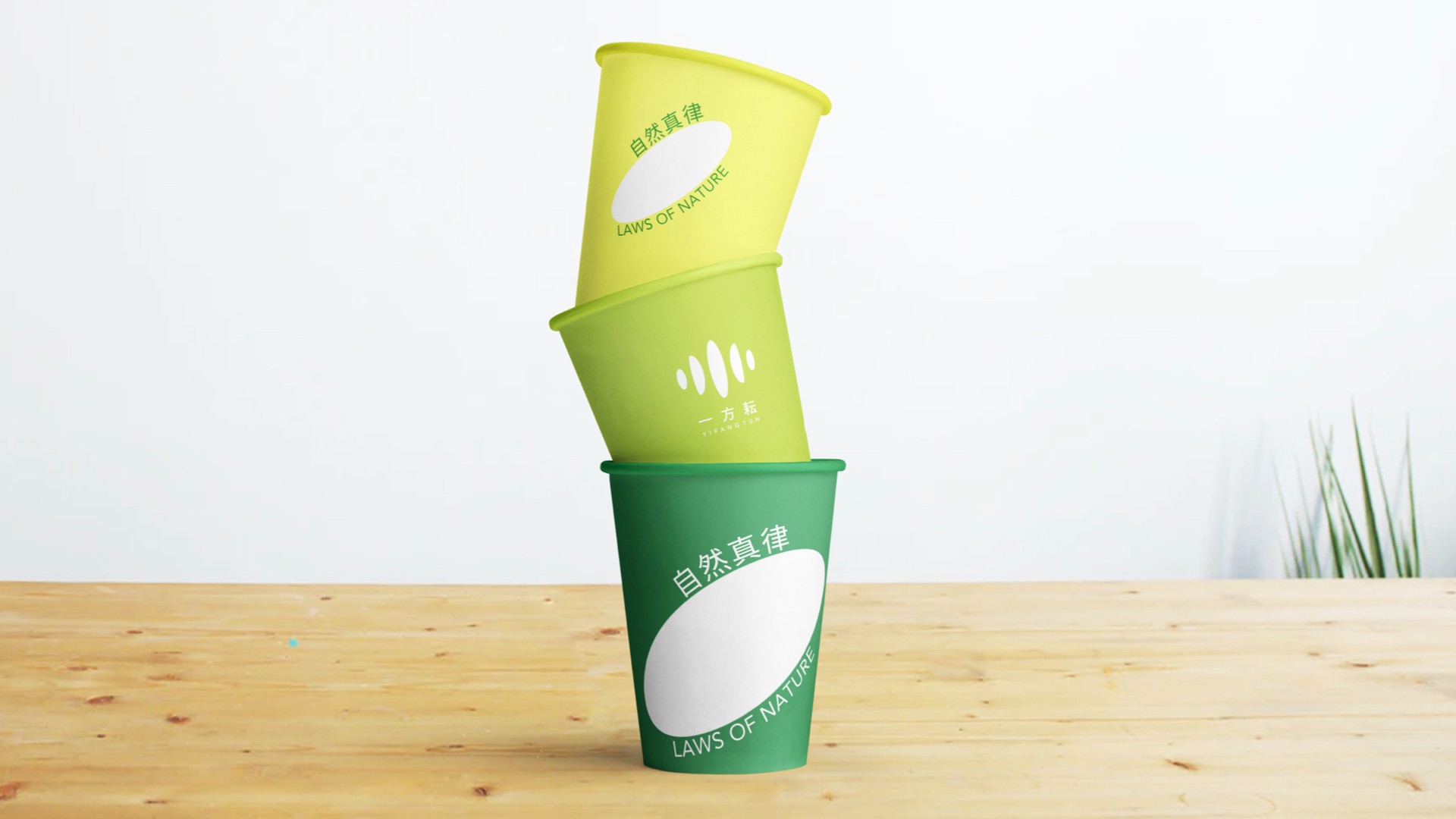 9一方耘品牌設(shè)計(jì)_有機(jī)雜糧vi設(shè)計(jì).jpg