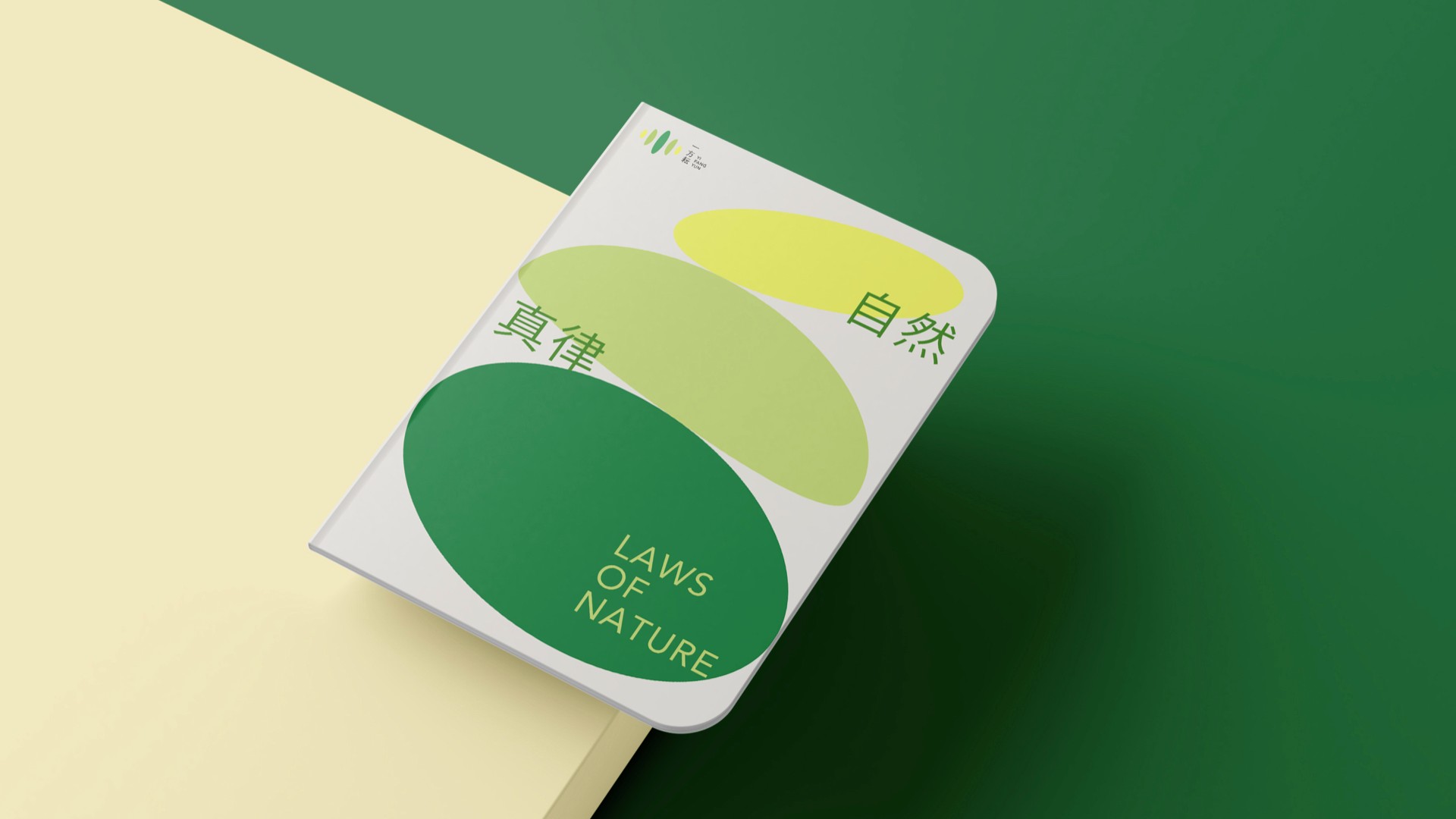 18雜糧米vi設(shè)計(jì)_一方耘vi設(shè)計(jì).jpg