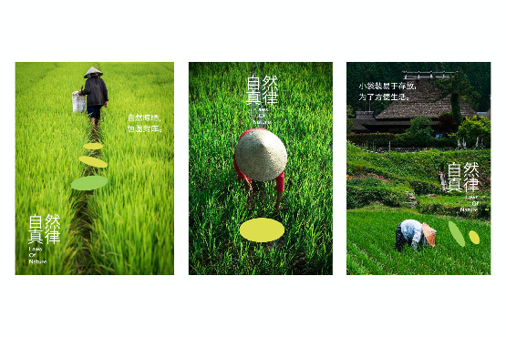 VI設(shè)計(jì)在農(nóng)產(chǎn)品品牌中的角色-傳遞自然與健康的視覺語言